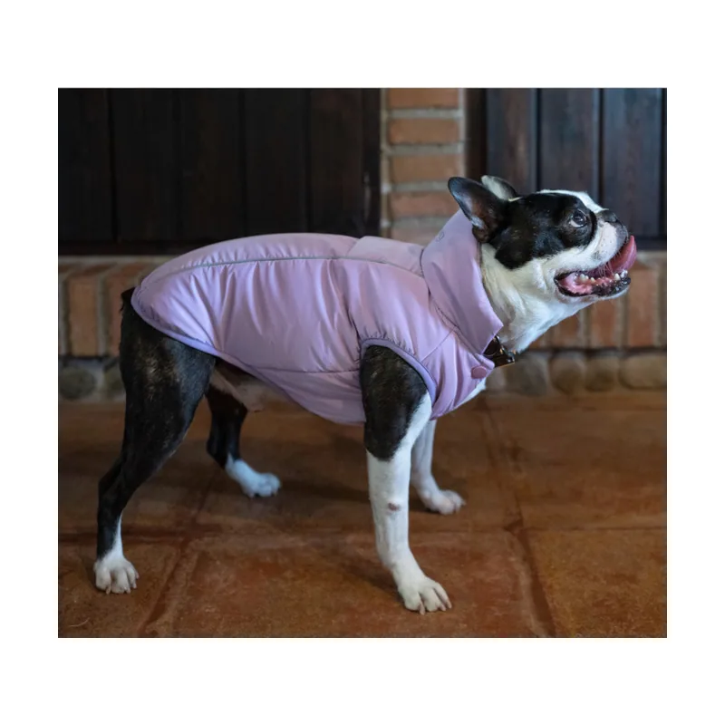 Freedog Abrigo Impermeable Winterhug Morado para perrros