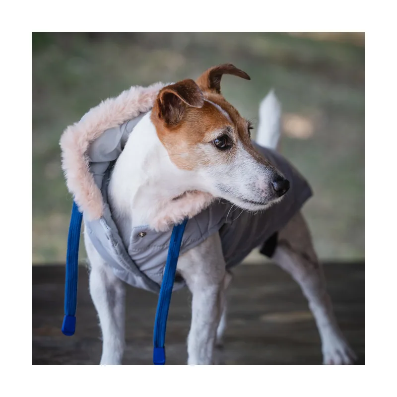 Freedog Abrigo Impermeable Iceguard Gris para perros