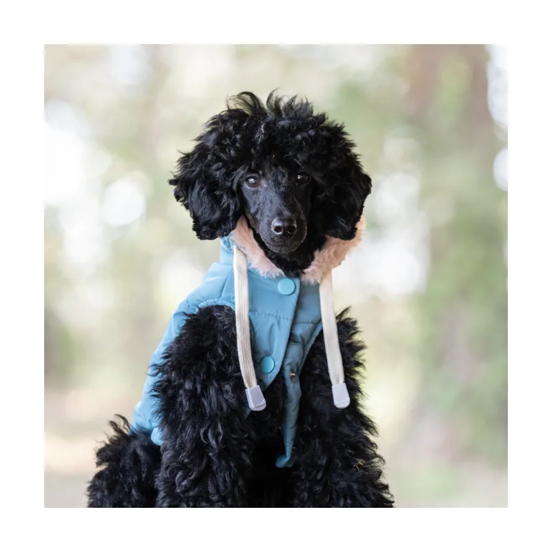 Freedog Abrigo Impermeable Iceguard Azul Cielo para perros