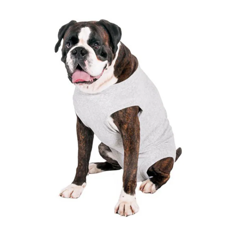 Flamingo Body Gris para perros