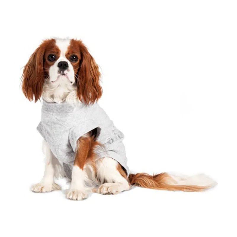 Flamingo Body Gris para perros