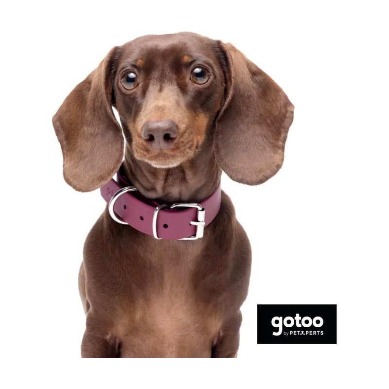 Gotoo Collar Biothane rojo vino para perros