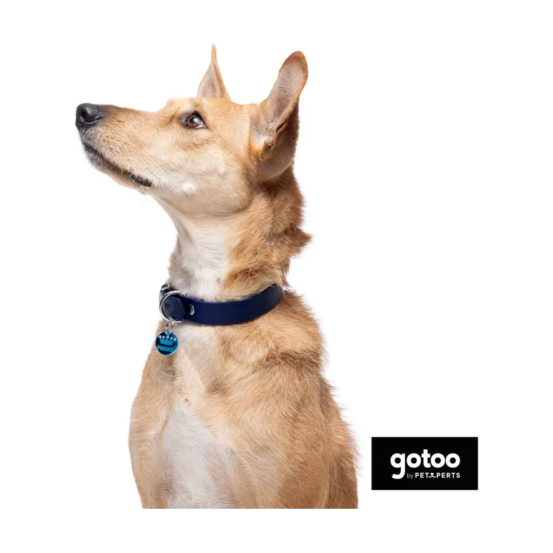 Gotoo Collar Biothane azul para perros