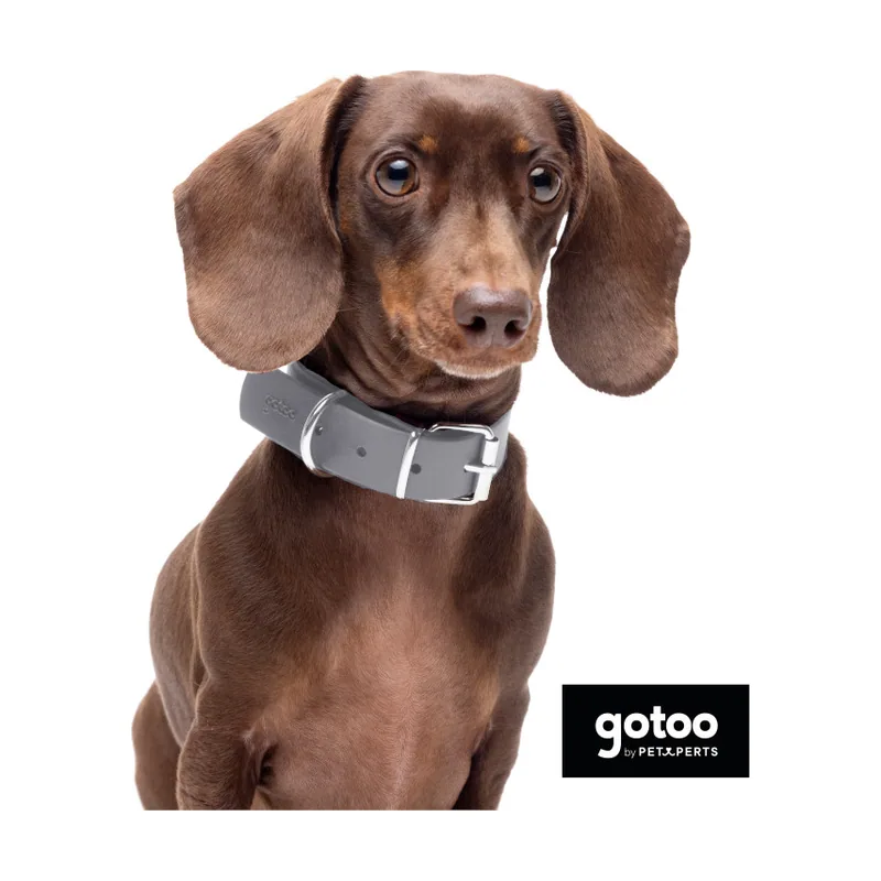 Gotoo Collar Biothane gris para perros