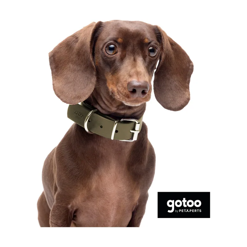 Gotoo Collar Biothane verde oliva para perros