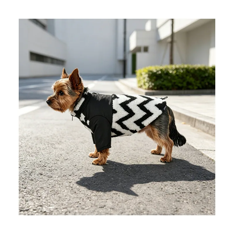 Gotoo Chaqueta Estampado ZigZag para perros