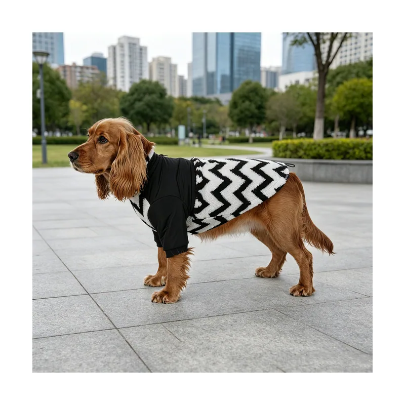 Gotoo Chaqueta Estampado ZigZag para perros