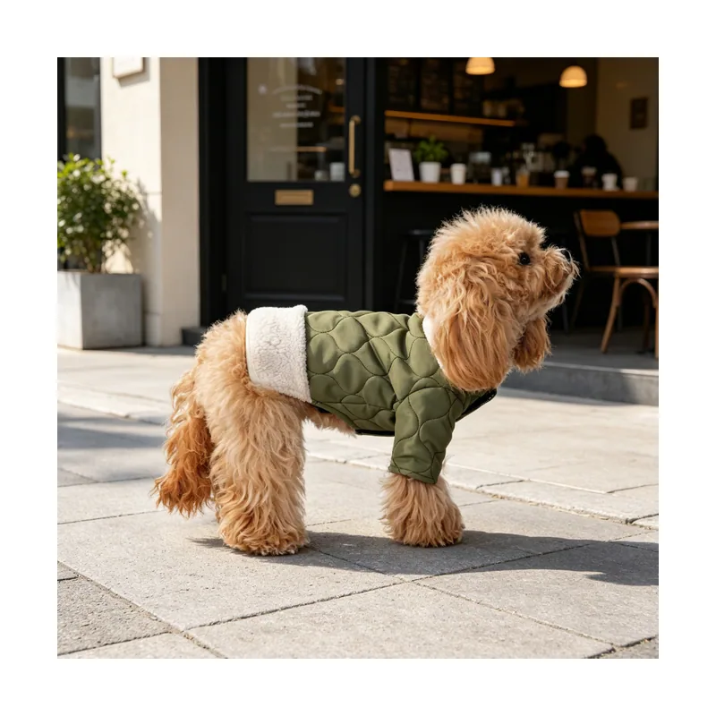 Gotoo Abrigo Acolchado Verde para perros