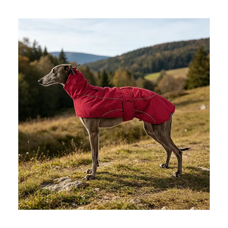 Gotoo Chaqueta Impermeable Rojo para galgos