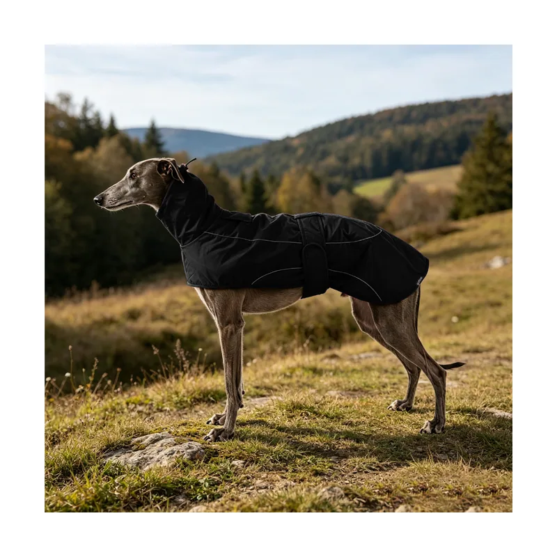 Gotoo Chaqueta Impermeable Negro para galgos