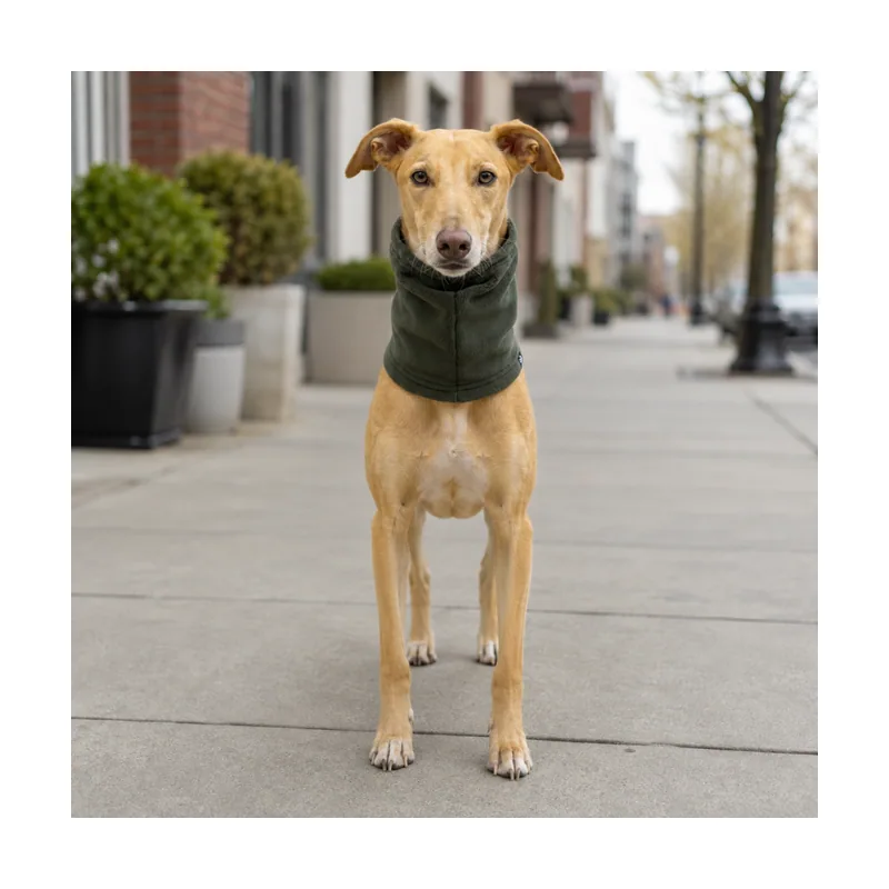 Gotoo Bufanda Polar Verde para perros