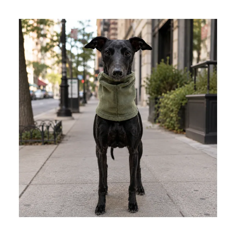 Gotoo Bufanda Polar Verde para perros