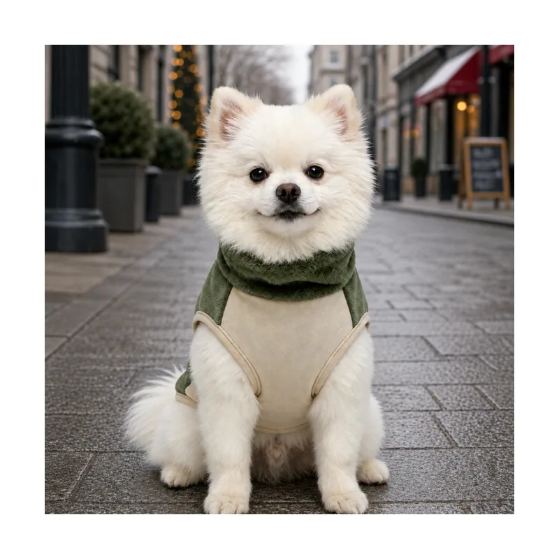 Gotoo Jersey Polar Verde para perros
