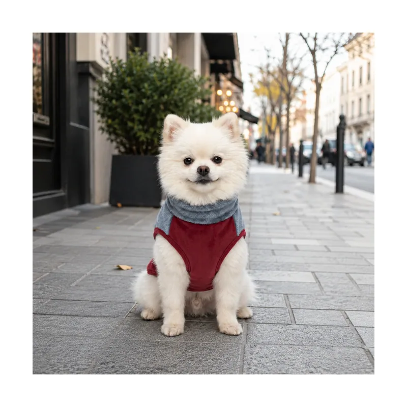 Gotoo Jersey Polar Azul para perros