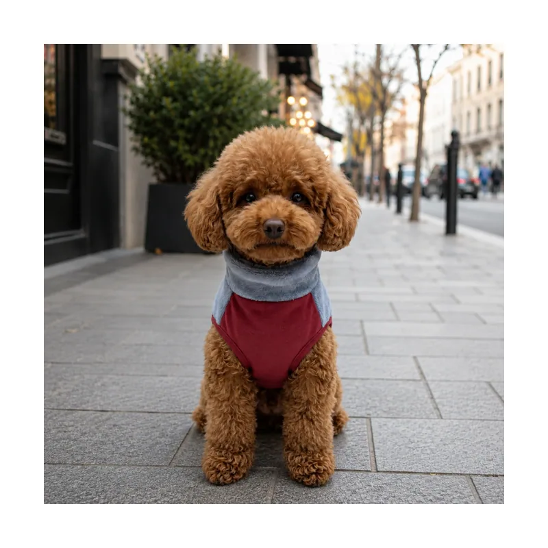 Gotoo Jersey Polar Azul para perros