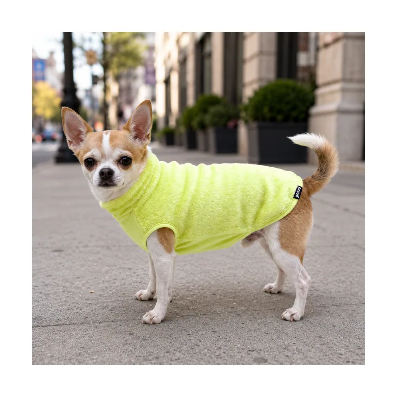 Gotoo Jersey Polar Verde Lima para perros