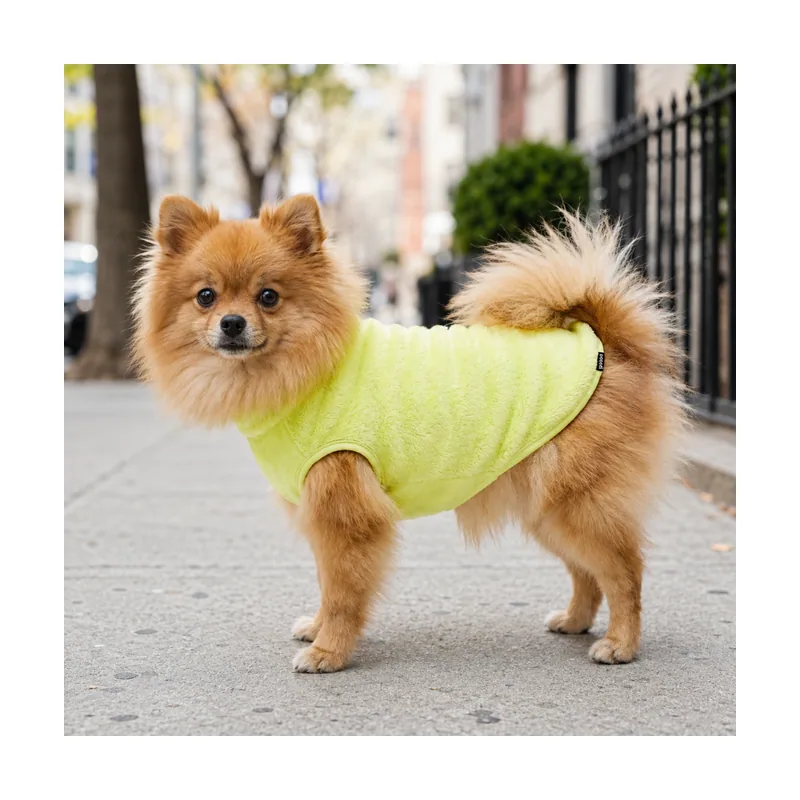 Gotoo Jersey Polar Verde Lima para perros