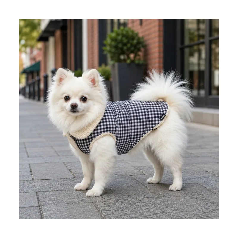 Gotoo Abrigo Azul Vichy para perros