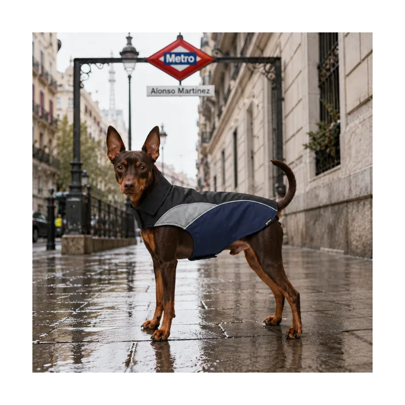 Gotoo Impermeable Reflectante Gris Azulado para perros
