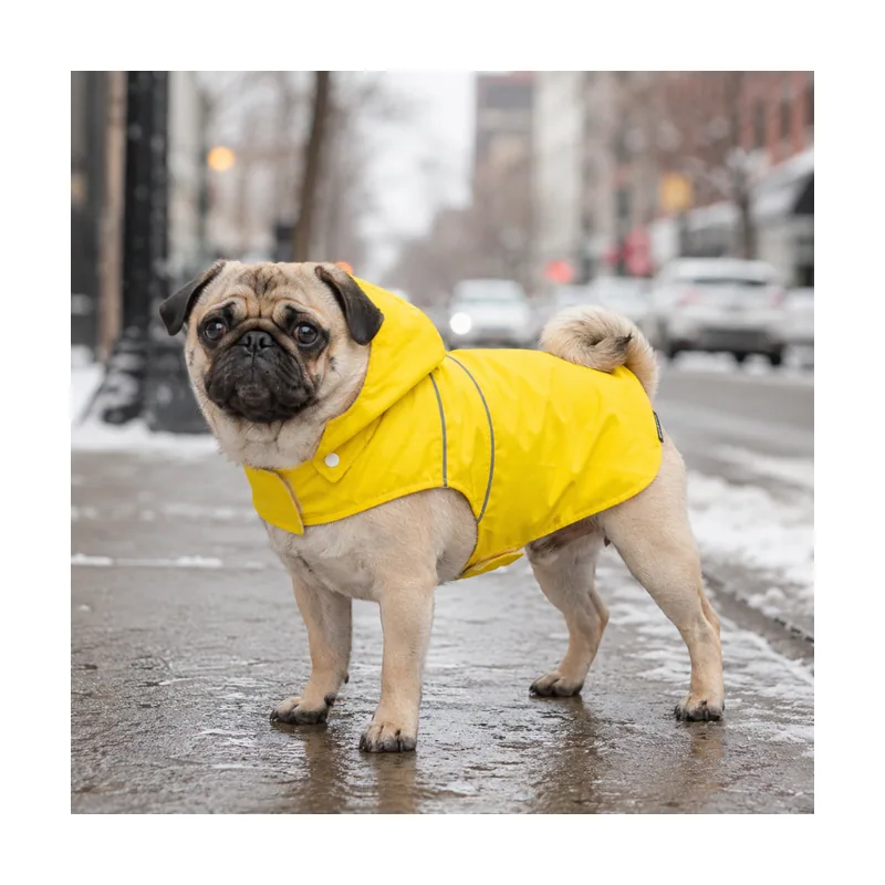 Gotoo Impermeable Reflectante Amarillo para perros