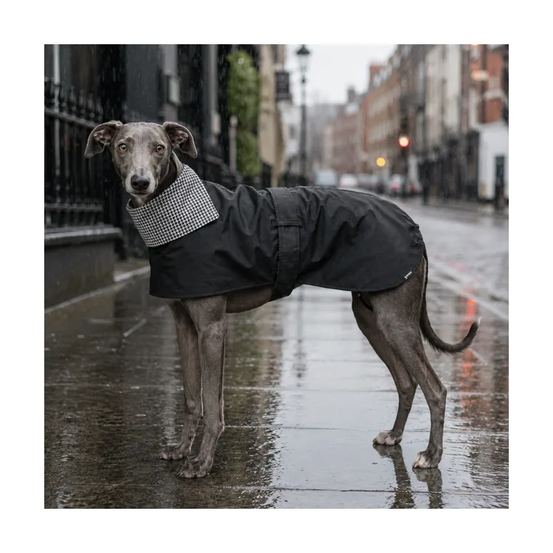 Gotoo Abrigo Gabardina para galgos