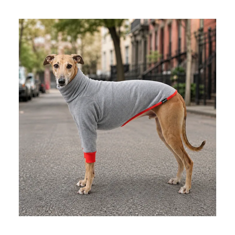 Gotoo Sudadera Gris para galgos