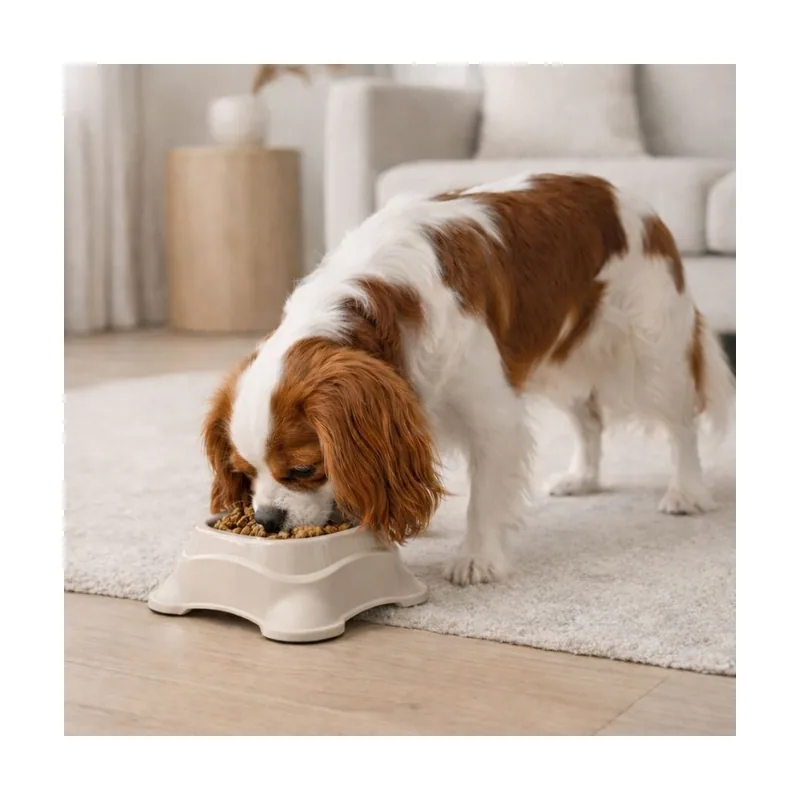 Leeby Comedero Plástico Taupe para perros