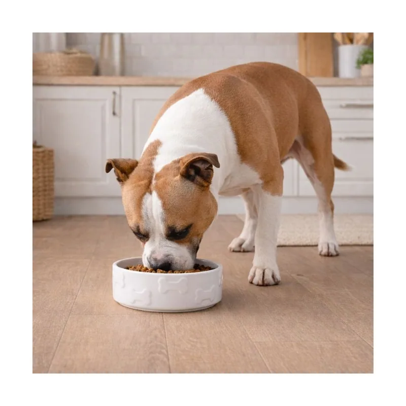 Leeby Comedero de Cerámica Blanco con Relieve de Huesos para perros