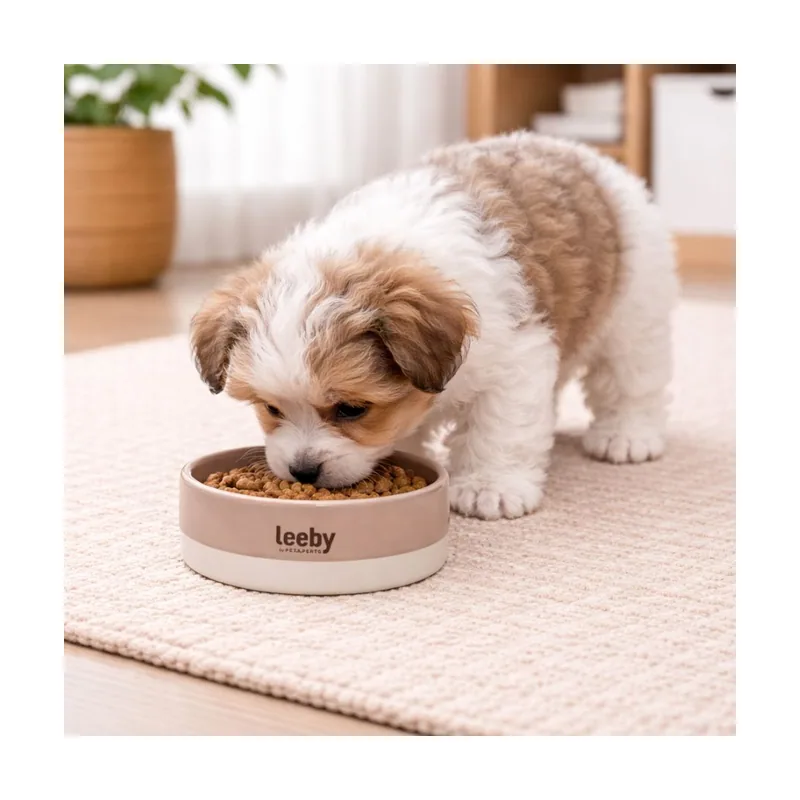 Leeby Comedero de Cerámica Marrón y Blanco para perros