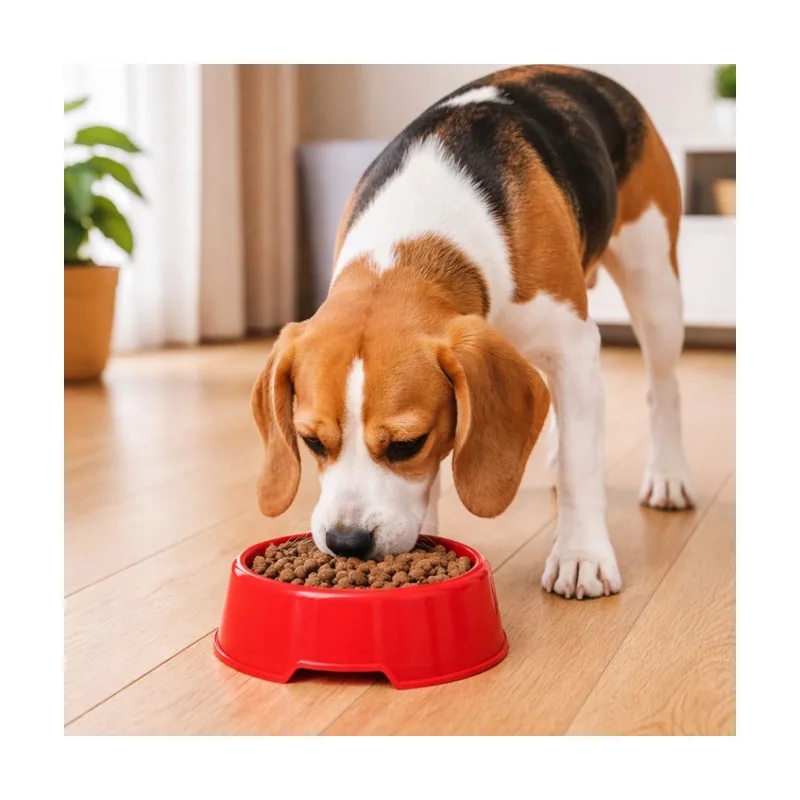 Leeby Comedero de Plástico Rojo para perros y gatos