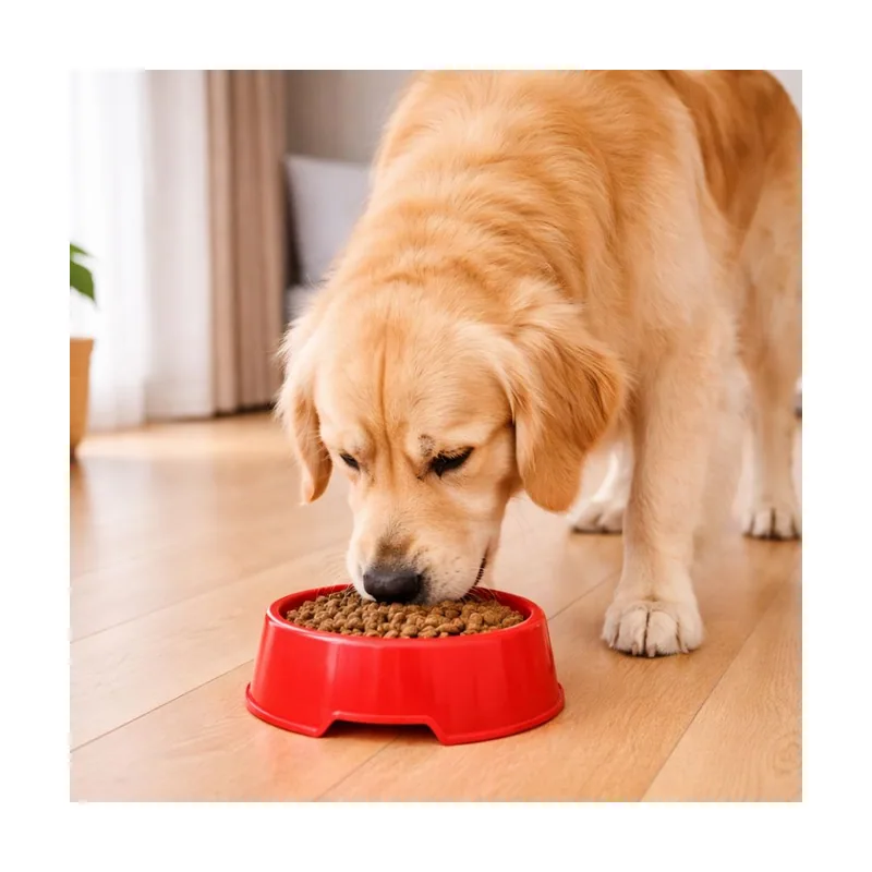 Leeby Comedero de Plástico Rojo para perros y gatos