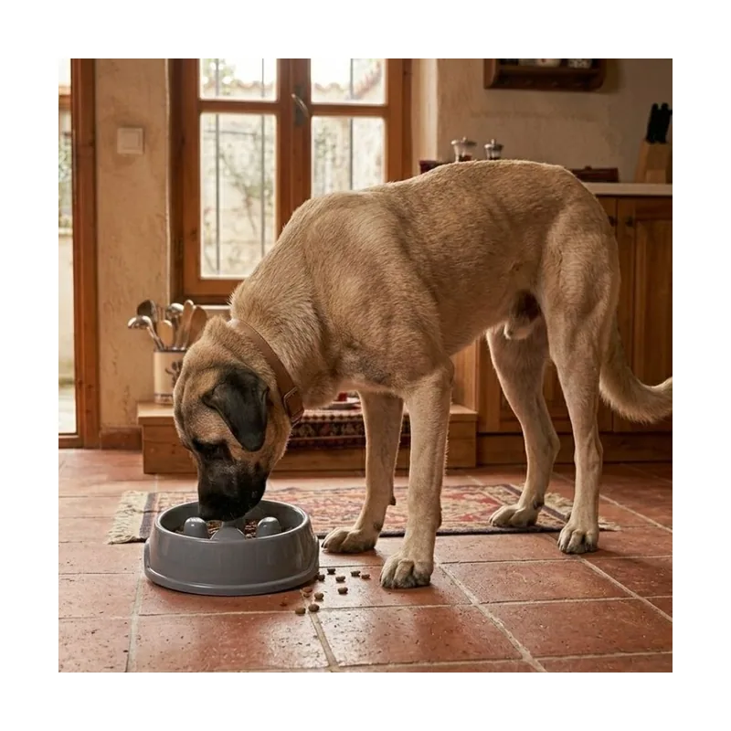 Leeby Comedero Antivoracidad Azul con Relieve de Huella para perros