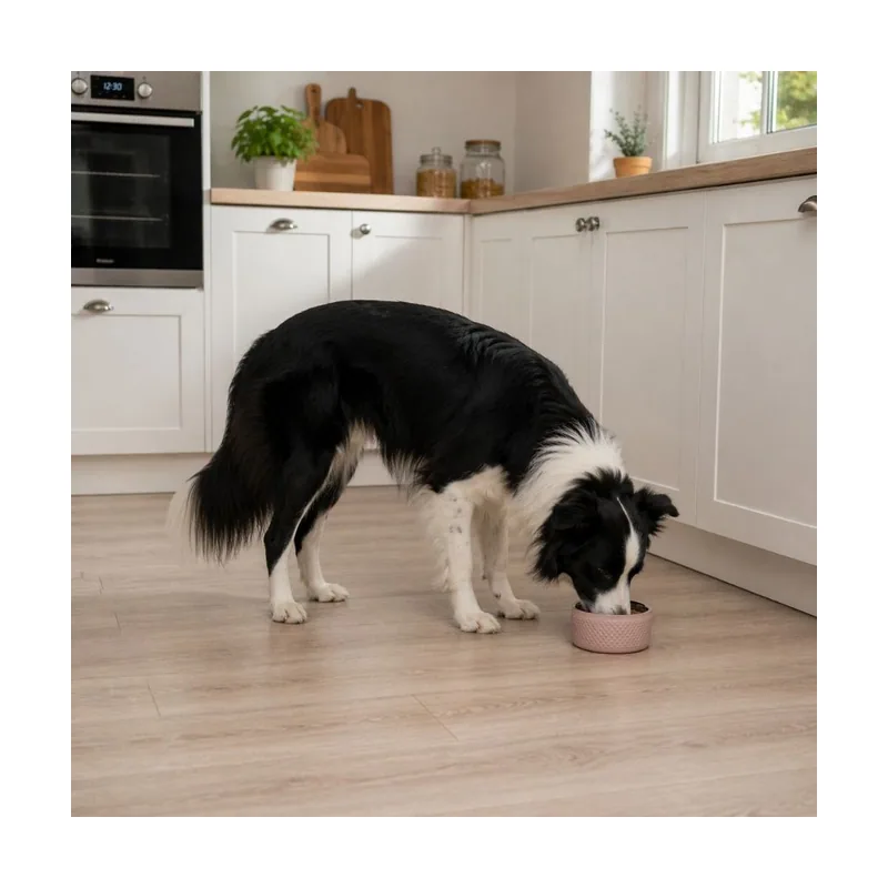 Leeby Comedero Antideslizante Acero Inoxidable para perros
