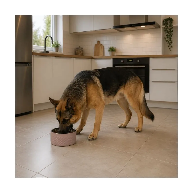 Leeby Comedero Antideslizante Acero Inoxidable para perros