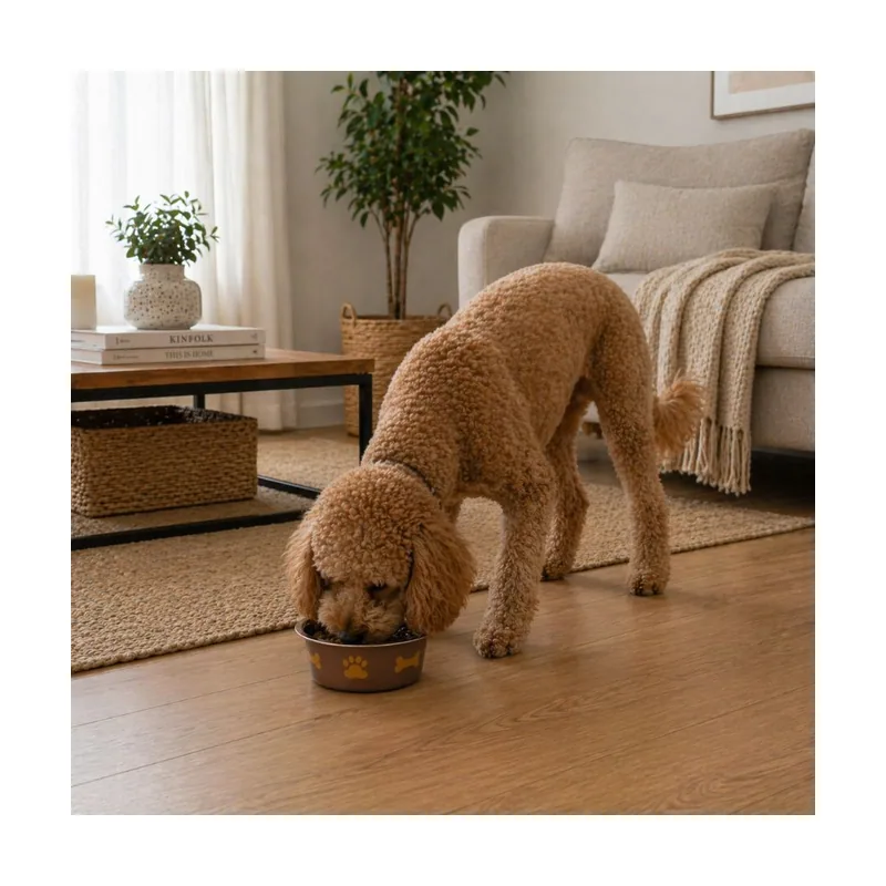 Leeby Comedero Estampado Huellas Acero Inoxidable para perros