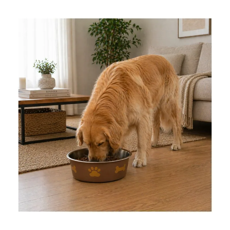 Leeby Comedero Estampado Huellas Acero Inoxidable para perros