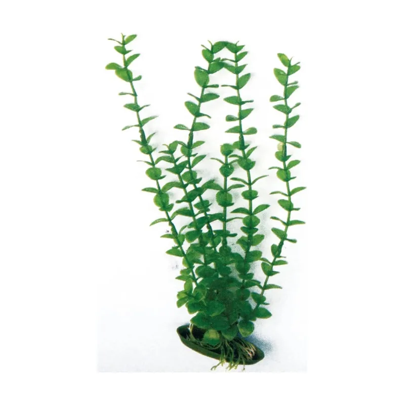 Amtra Nayeco Planta Artificial Rotala para acuarios