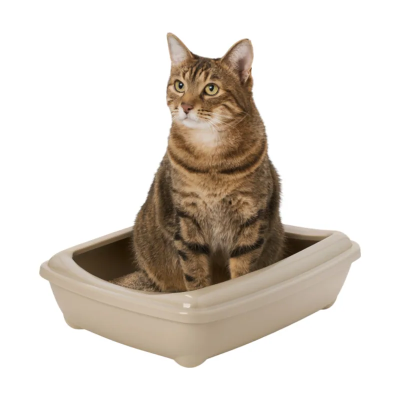 Nice Care Bandeja Sanitaria Beige para gatos