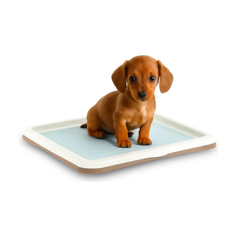 Nice Care Bandeja Sanitaria Gastone Beige para perros