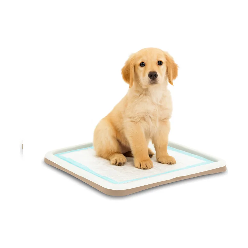 Nice Care Bandeja Sanitaria Gastone Beige para perros