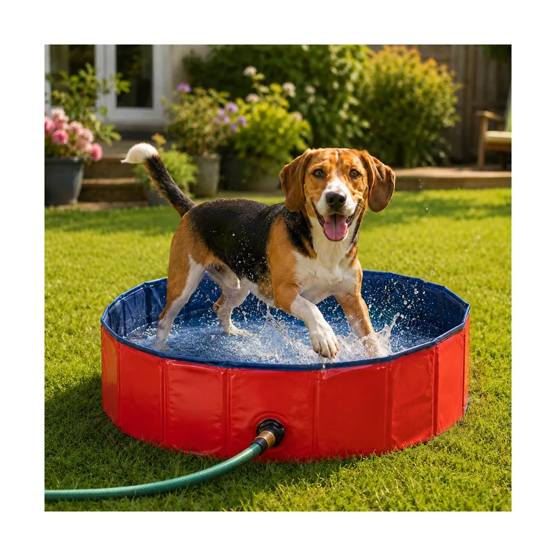 Piscina Roja para perros