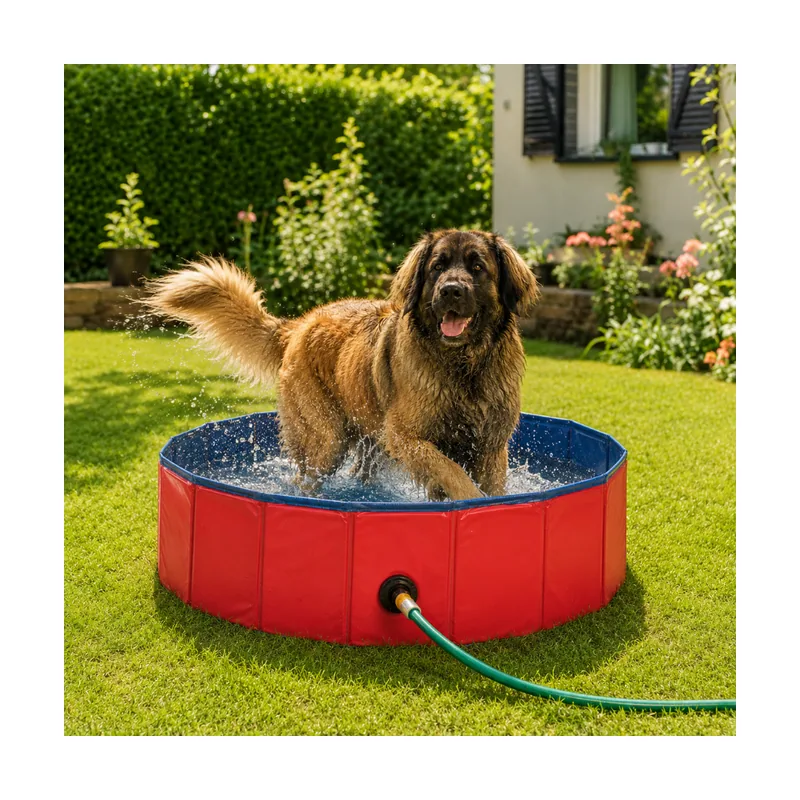 Summer Vibes Piscina Roja para perros
