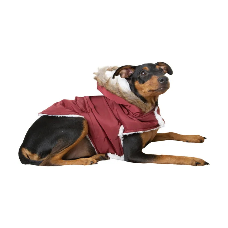 Outech Abrigo Granate con Capucha para perros