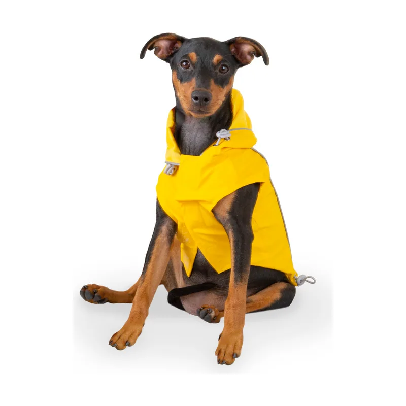 Outech Fisher Impermeable amarillo para perros