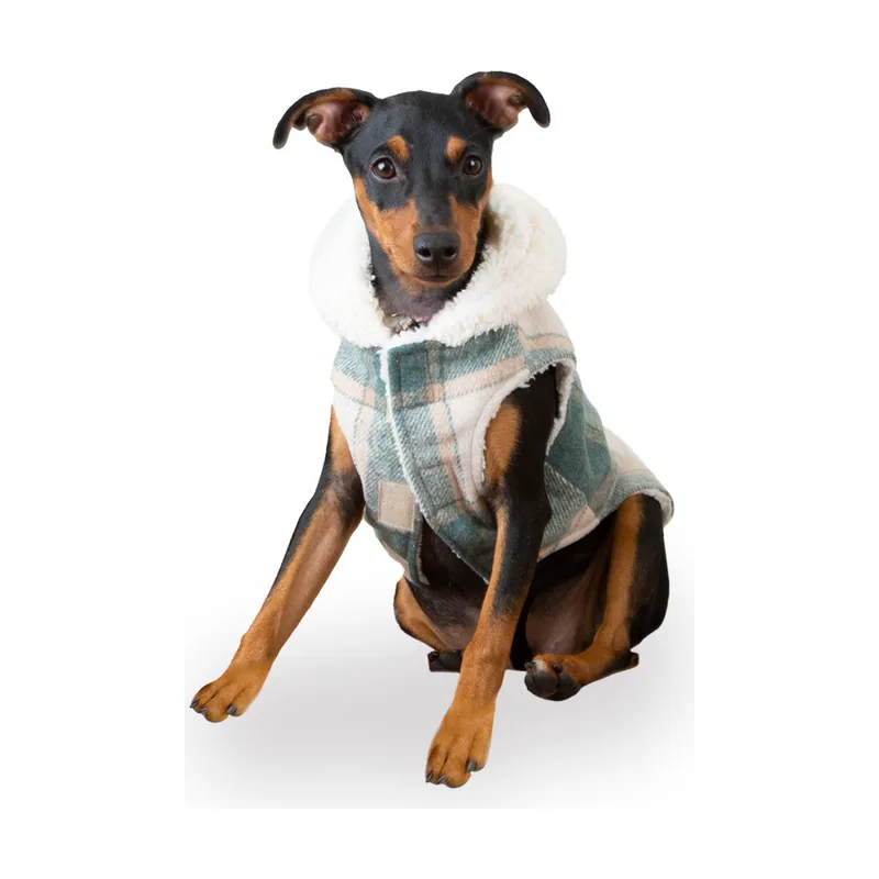 Outech Trenca Azul para perros