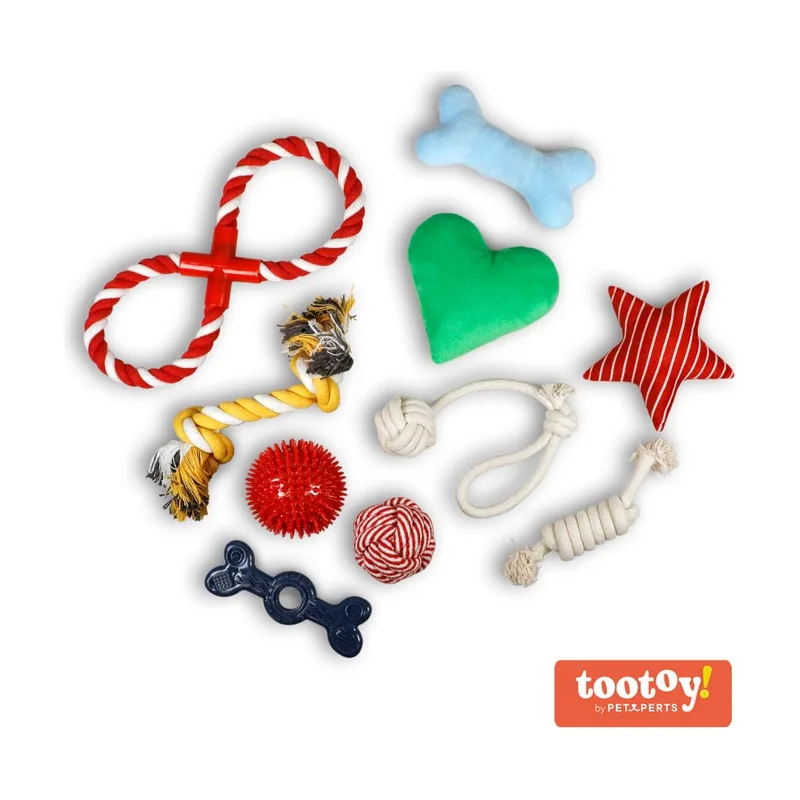 Tootoy! Chew Exploration Toys