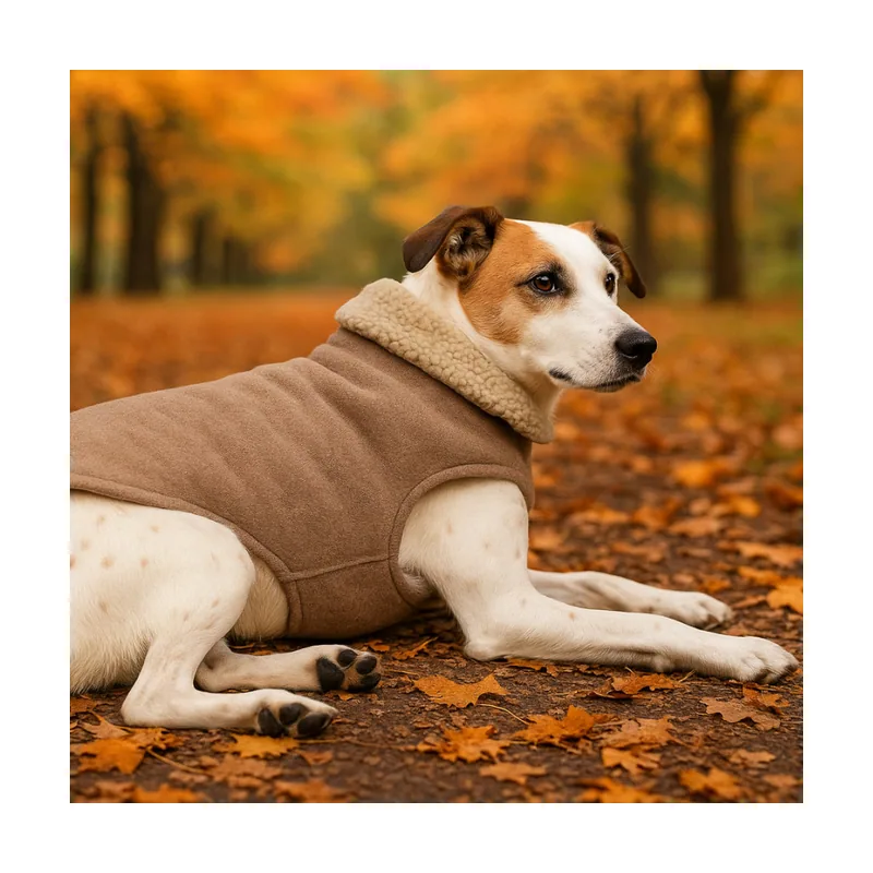 Outech Abrigo Marrón Borreguillo para perros