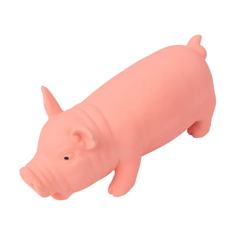 Tootoy! Chew Grunting Pig mordedor para perros