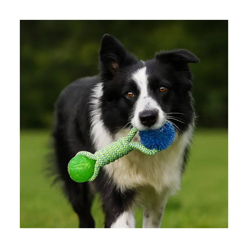 Tootoy! Mordedor de Cuerda con Pelotas de Goma para perros