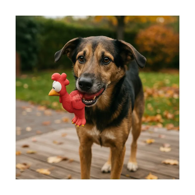 Tootoy! Mordedor con Sonido Gallina para perros